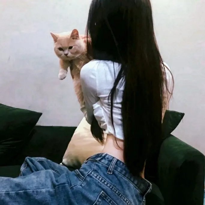 向着炮火